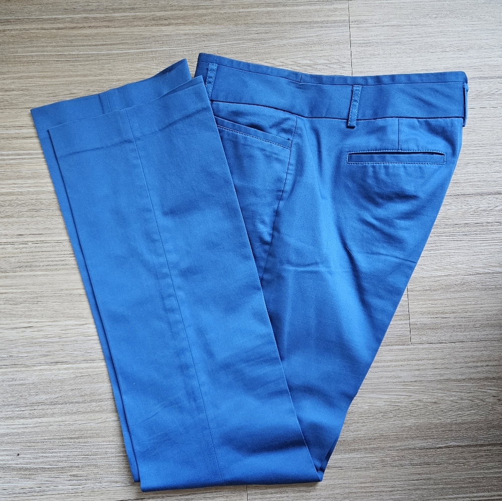 Drycleaned Express Columnist, Size 8R